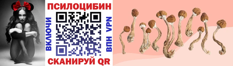 Псилоцибиновые грибы Cubensis  Кушва 